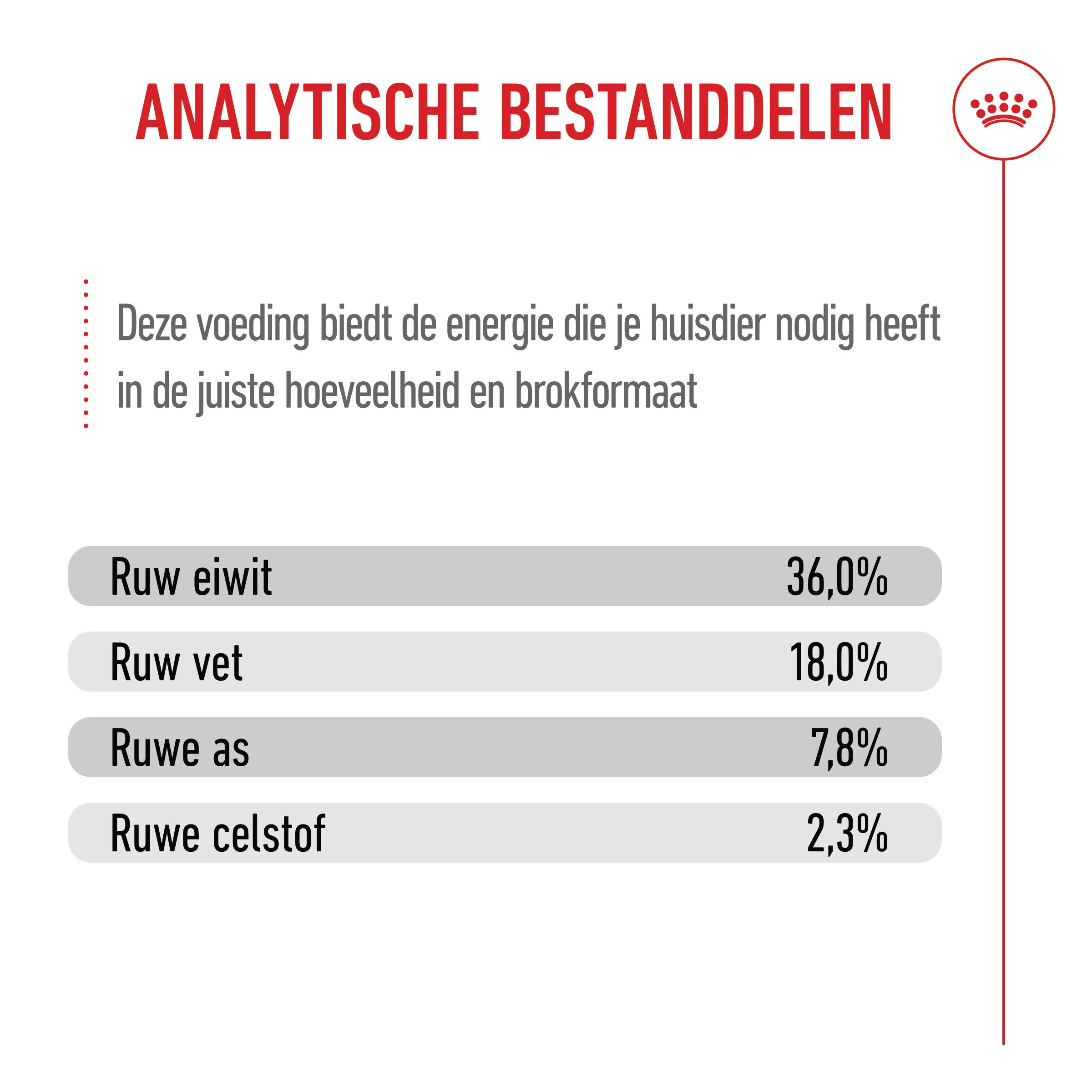 Royal Canin Kitten kattenvoer