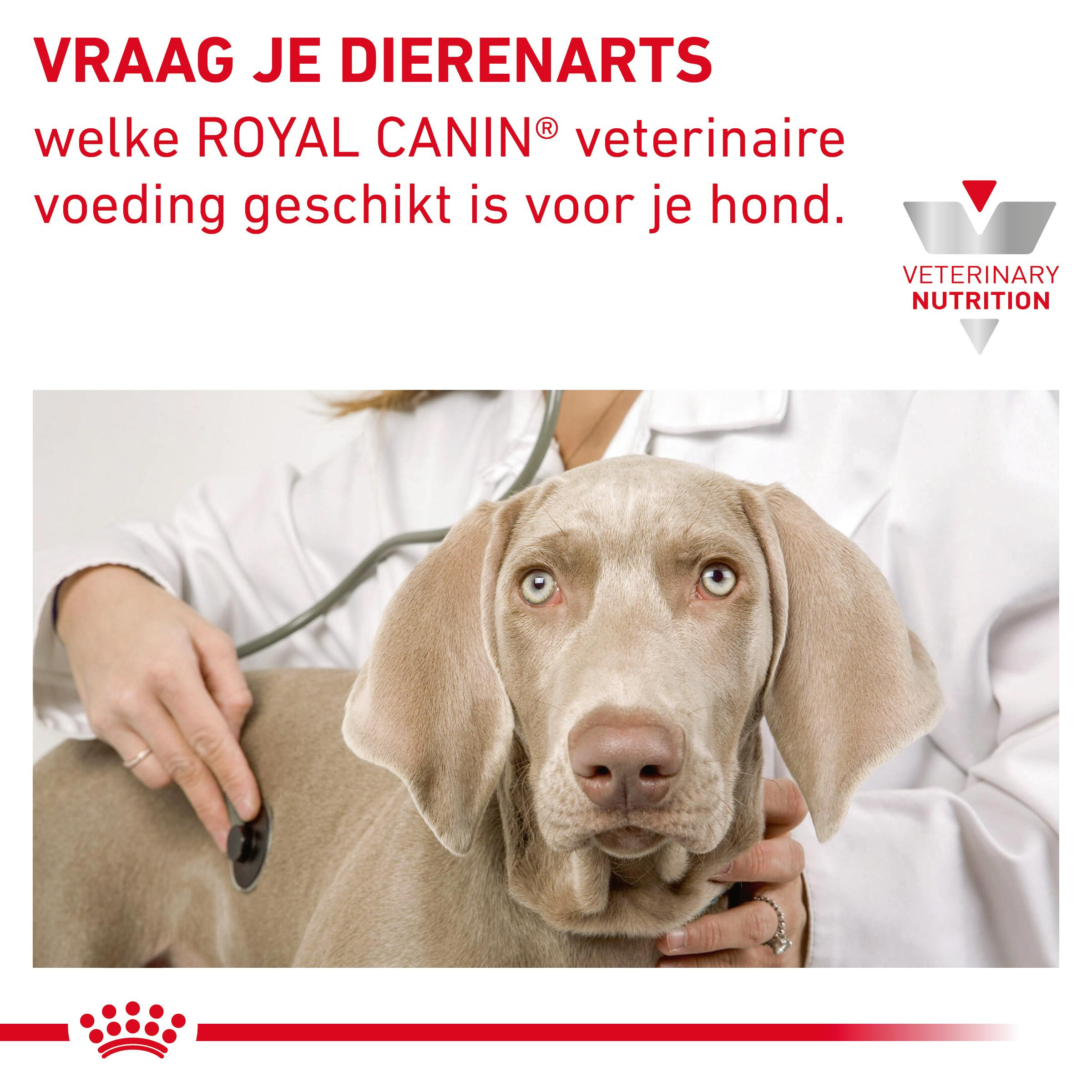 Royal Canin Veterinary Gastrointestinal natvoer hond (paté)