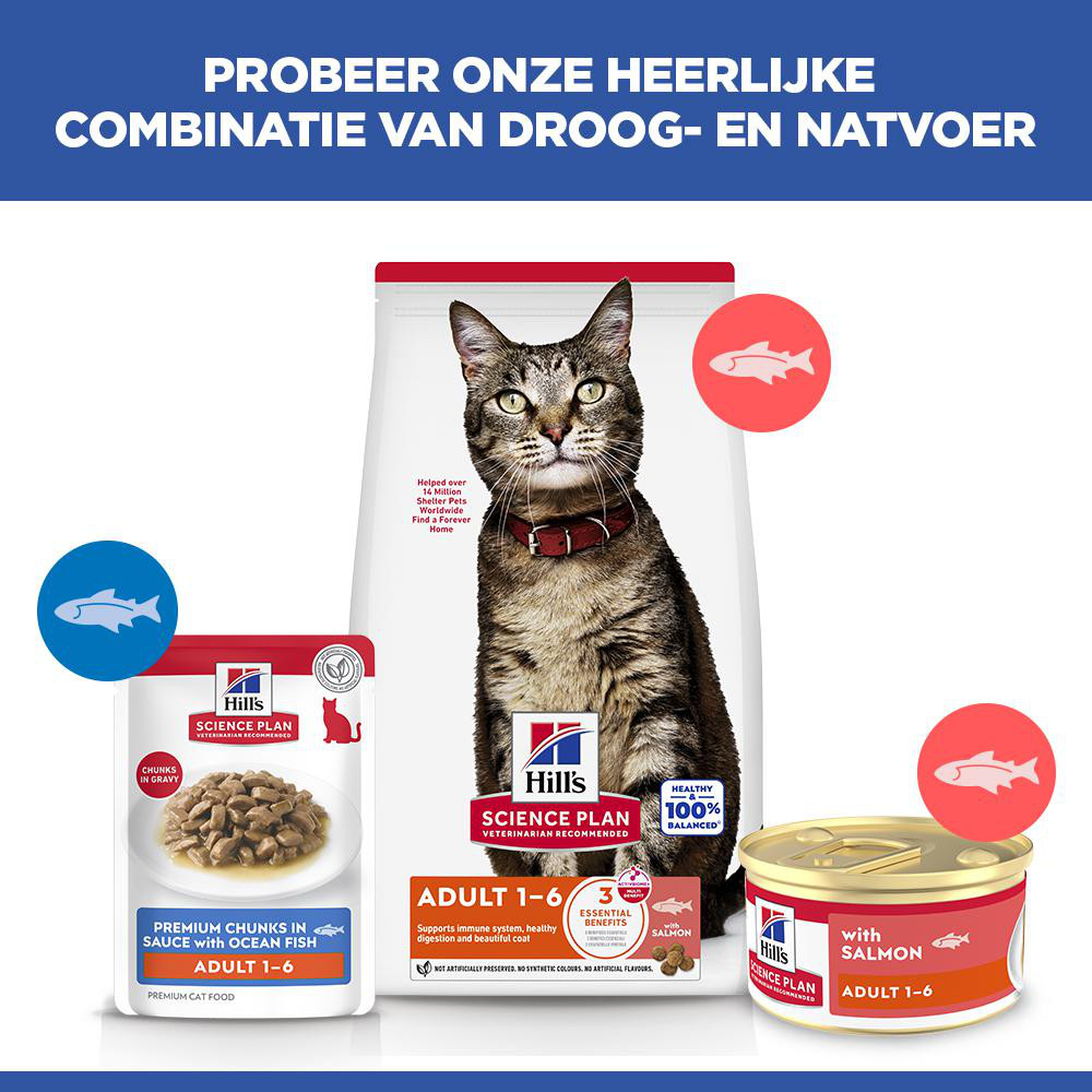 Hill's Adult nat kattenvoer met zalm (mousse) blik