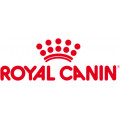 Royal Canin natvoer kat