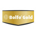 Bolfo Gold kat