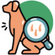 Huid- en vachtproblemen hond