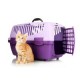 Katten accessoires